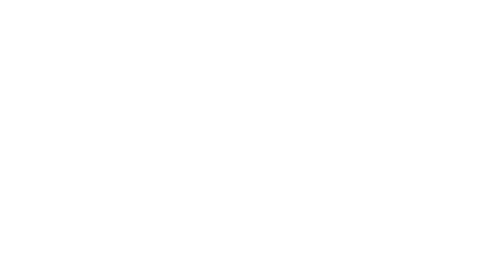 CEO Noodles brand logo